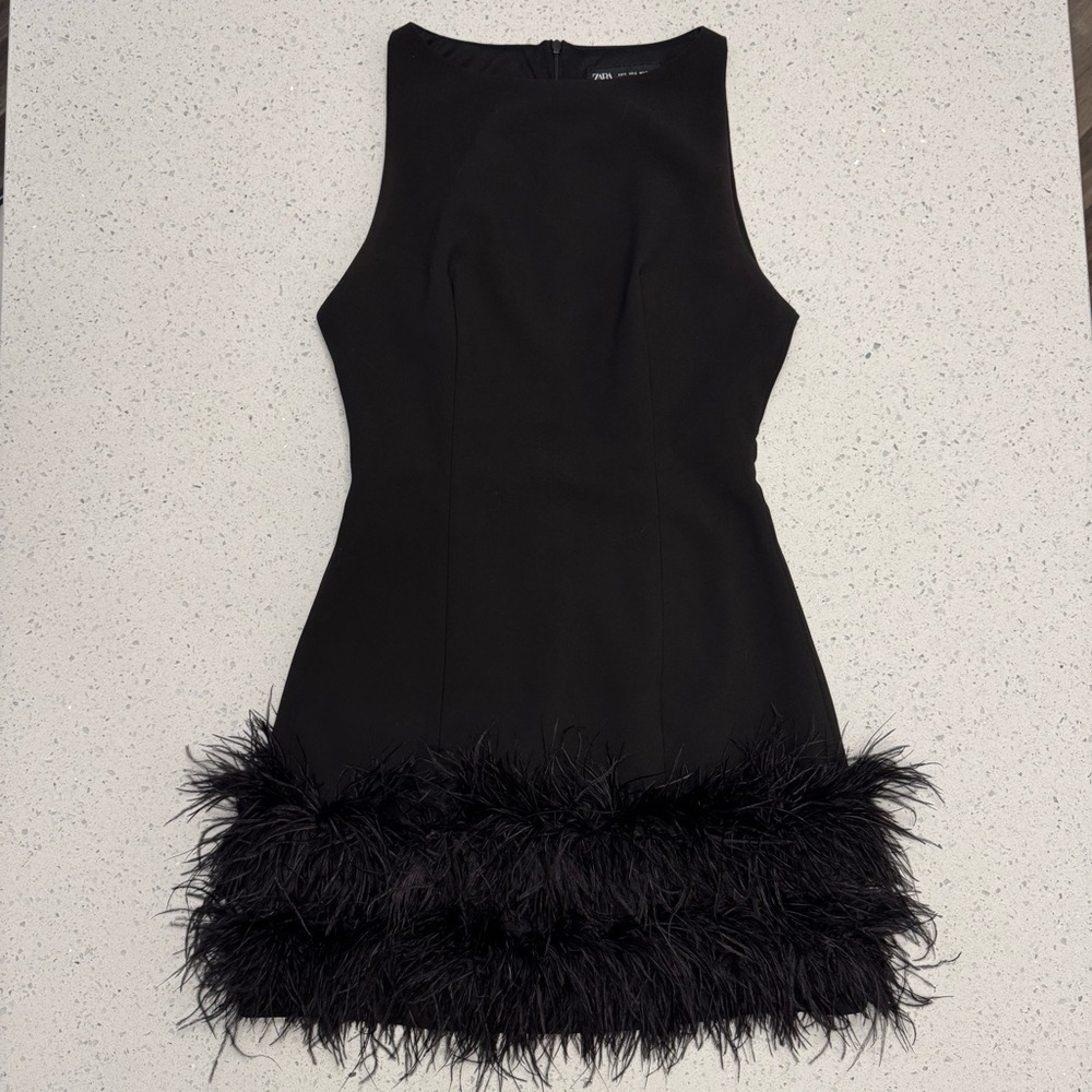 Elegant Black Feather Hem Dress